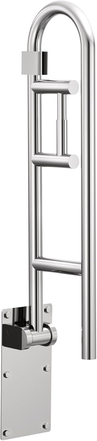 MOEN R8962FD 30 in Flip-up Grab Bar with Toilet Paper Holder Stainless Steel ADA