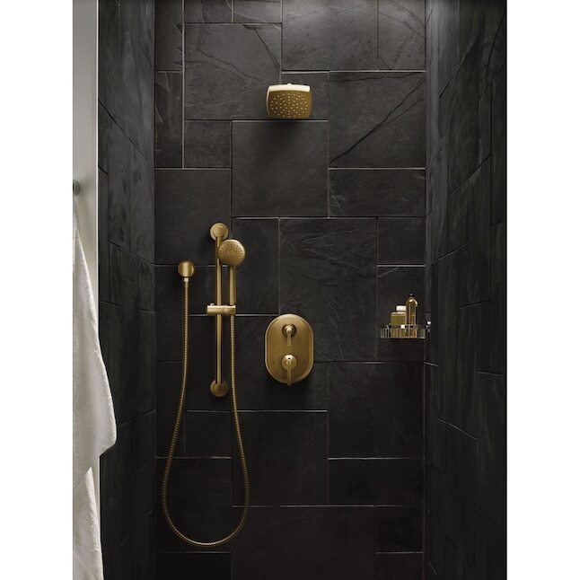 Moen 3868EPBG Gold Eco-Performance Handheld Shower Brushed 1-Spray