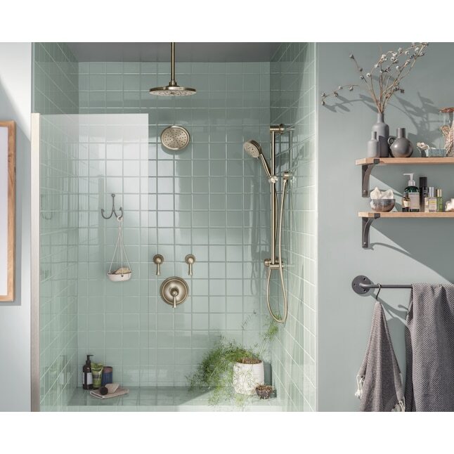 MOEN Eco-Performance 3667EPBN Handheld Showerhead With Slide Bar Brushed Nickel